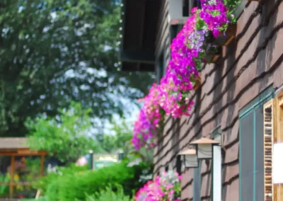 whiteface the gardens 09