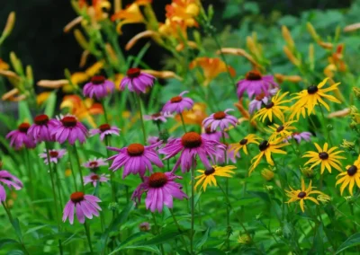 whiteface the gardens 12