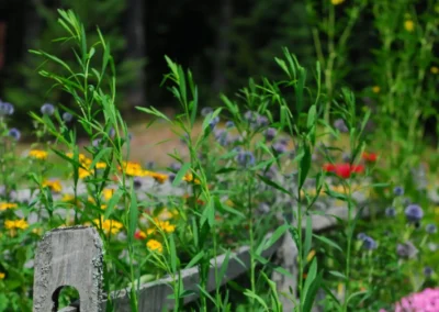 whiteface the gardens 17