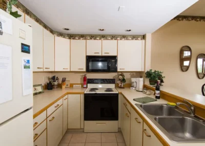 whiteface rentals 006