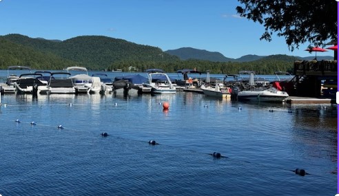 Screenshot 2026 02 10 133227