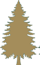 tree icon